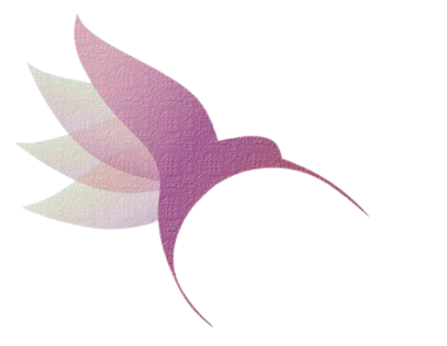 Soul Centered Medicines